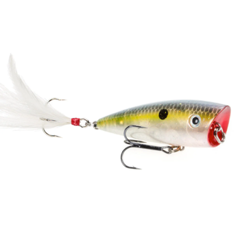 Strike King HC KVD Splash Popper 3" Clear Ghost Sexy Shad