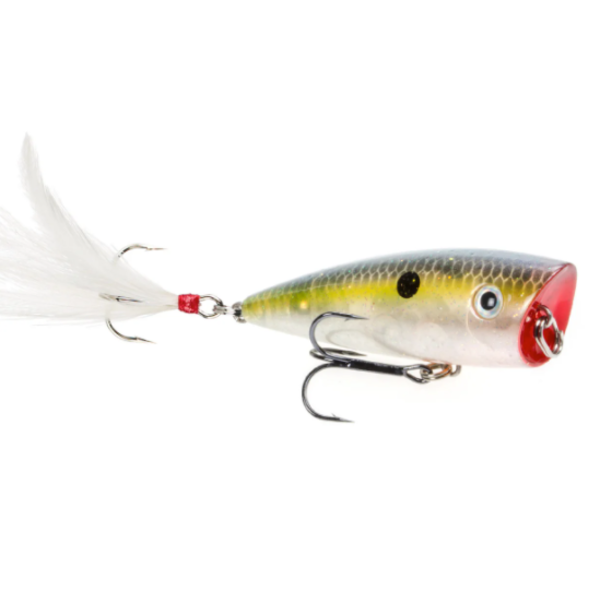 Strike King HC KVD Splash Popper 3" Clear Ghost Sexy Shad