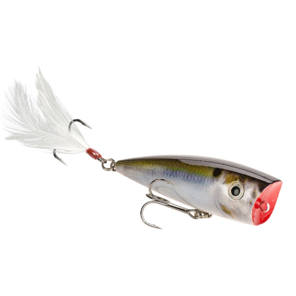 Strike King HC KVD Splash Popper 3" Natural Shad