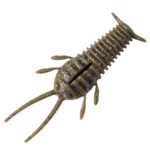 Great Lakes Finesse Ned Bug 2.3" 6-pk