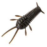 Great Lakes Finesse Ned Bug 2.3" 6-pk