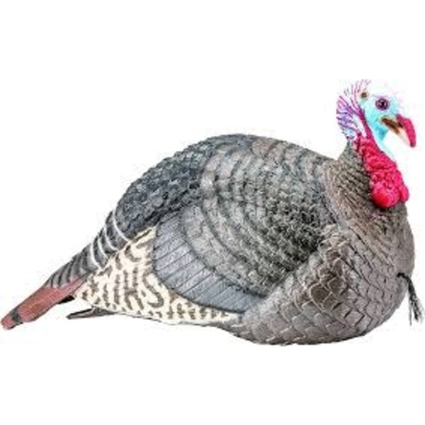 Hunters Specialties Hunter Specialties Strut Lite Jake Turkey Decoy