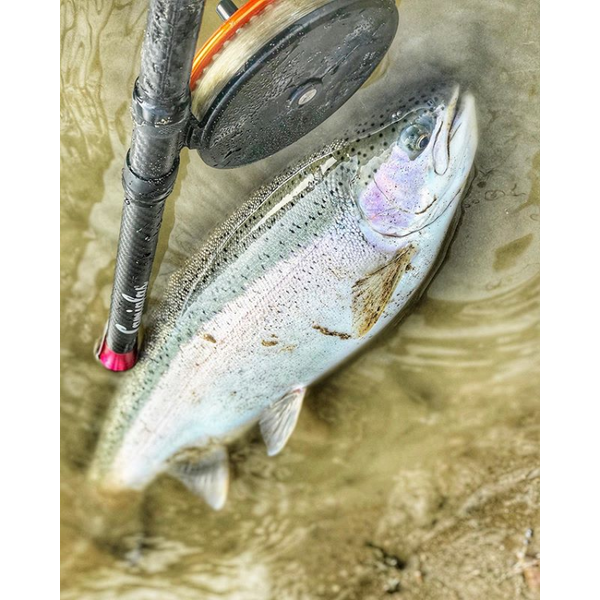 Kingpin Imperial 475 Float Reel, Black