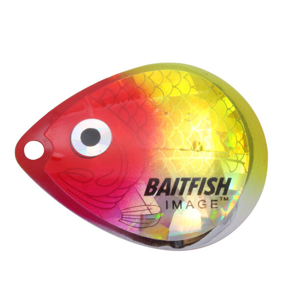 Northland Northland Baitfish-Image Colorado Blades. #3 Clown 3-pk.