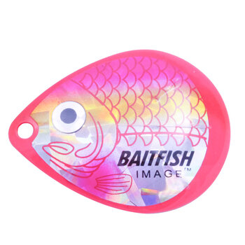 Northland Northland Baitfish-Image Colorado Blades. #3 Dace Pink 3-pk.