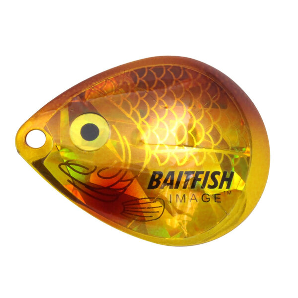 Northland Baitfish-Image Colorado Blades. #4 Golden Shiner 3-pk.