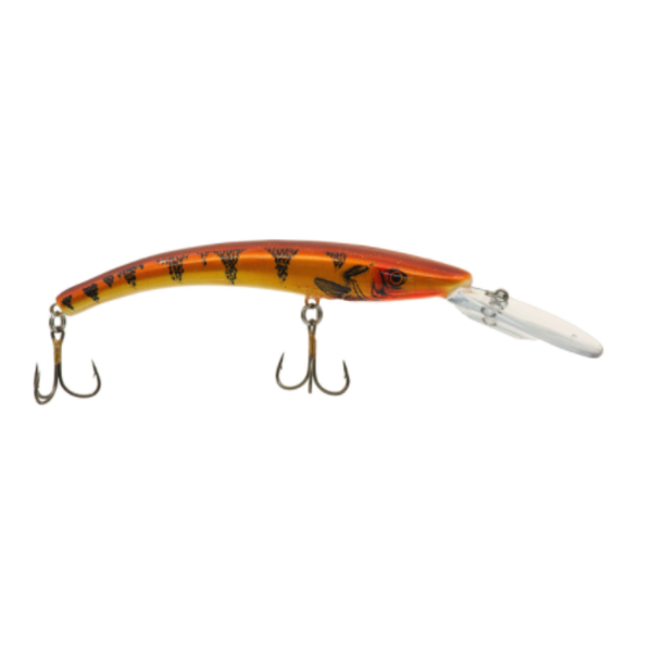 Reef Runner Deep Diver 800. Perch