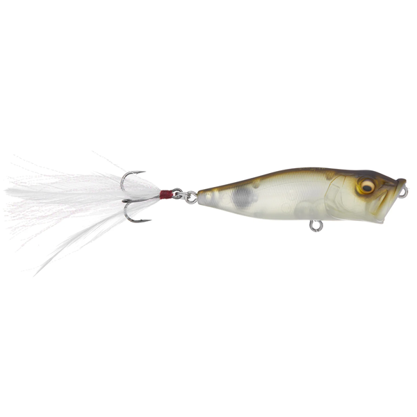 Megabass PopX Mat Shad