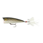 Rebel Pop-R Tennessee Shad