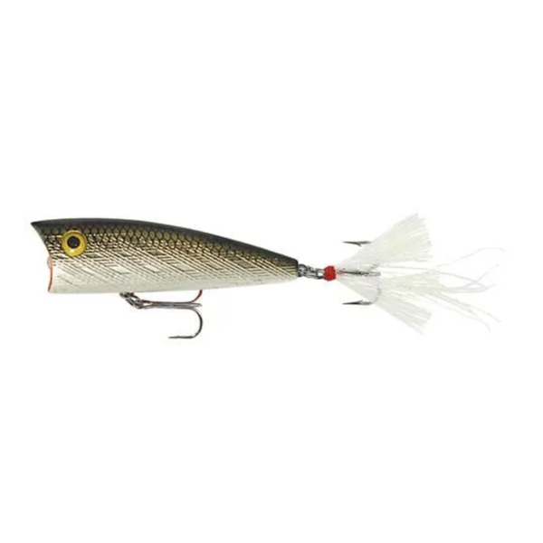 Rebel Pop-R Tennessee Shad