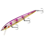 Smithwick Perfect 10 Rogue Perchase 5-1/2"