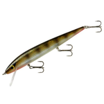 Smithwick Perfect 10 Rogue Lerch 5-1/2"