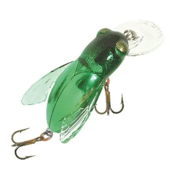 Rebel Bumble Bug. June Bug