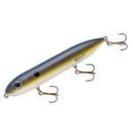 Heddon Super Spook Foxy Shad