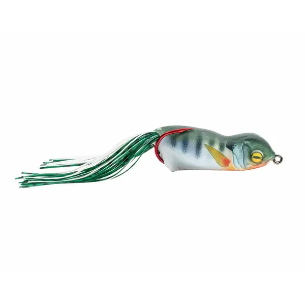 Scum Frog Launch Frog Hot Gill