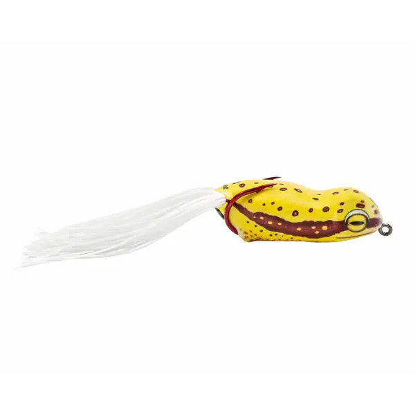 Scum Frog Launch Frog Lemon Seed