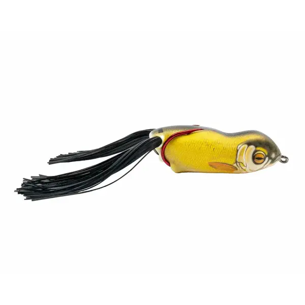Scum Frog Launch Frog Golden Shiner