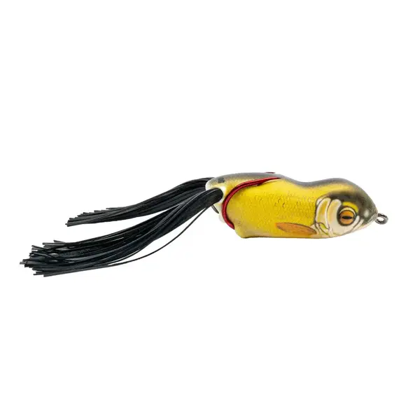 Scum Frog Launch Frog XS Golden Shiner