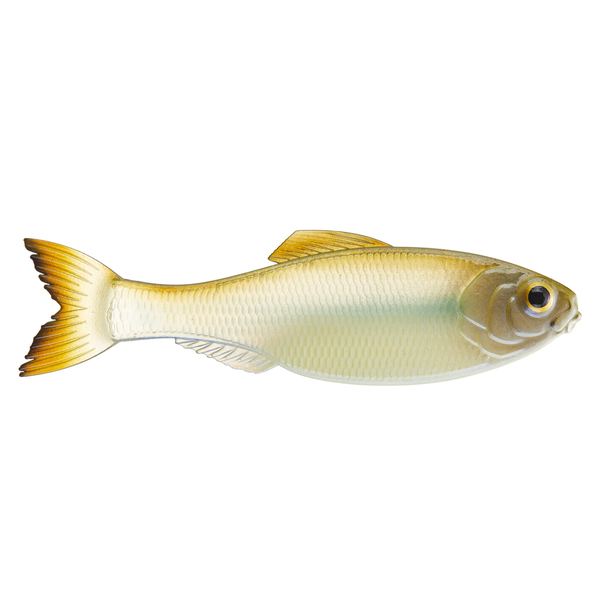 6th Sense Panorama 2.8" Ghost Minnow 8-pk
