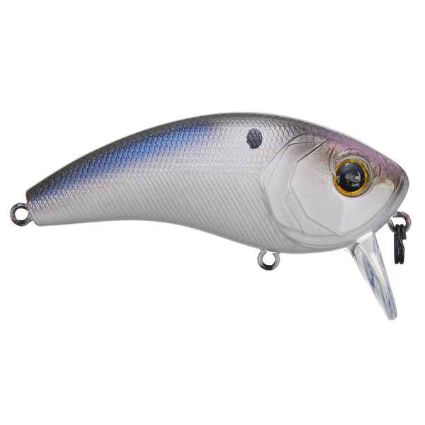 6th Sense Movement 80WK 4K Shad