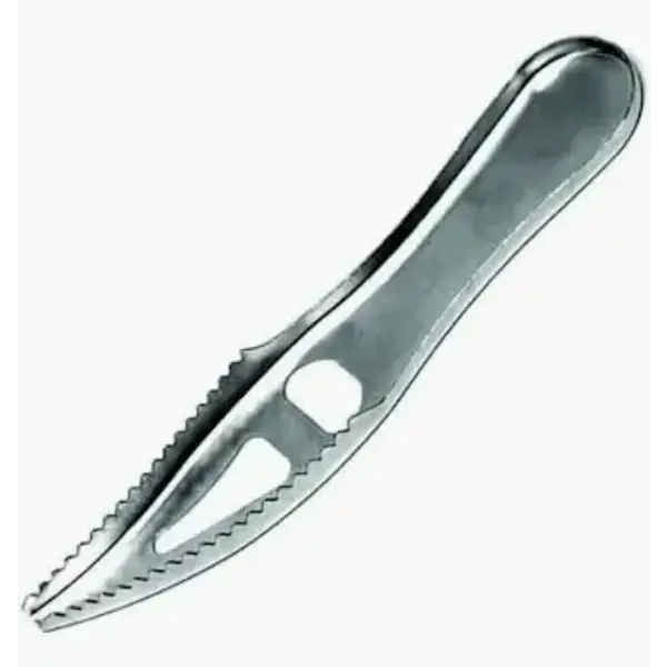 Eagle Claw Claw Fish Scaler.