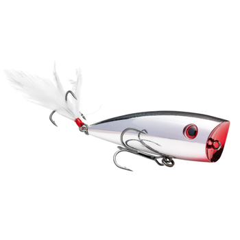 Strike King HC KVD Splash Popper 3" Carolina Chrome
