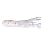 Phenix Phenix 1.5" Salty Tube. White Core Silver Flake 10-pk