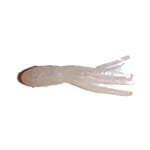 Phenix Phenix 1.5" Salty Tube. Pearl 10-pk