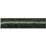 Phenix 5" Original Salty Tube. Green Pumpkin Black/Purple (FT227A)