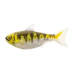 Live Target Shad  4.5"