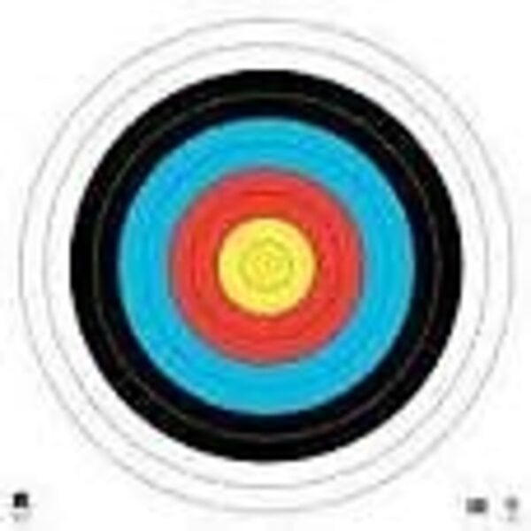 Archery FITA Target 34"x34"