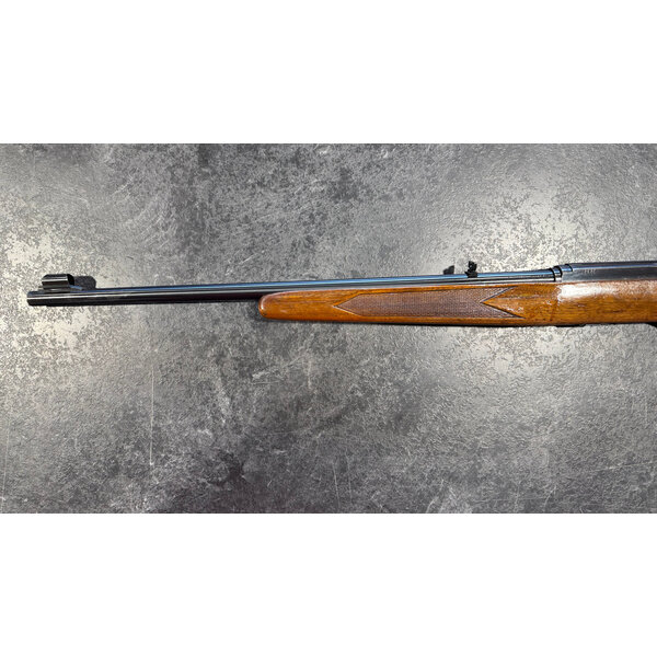 Winchester Model 490 22LR Semi Auto w/Sights