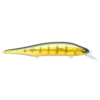 Megabass Ito Shiner GG Perch