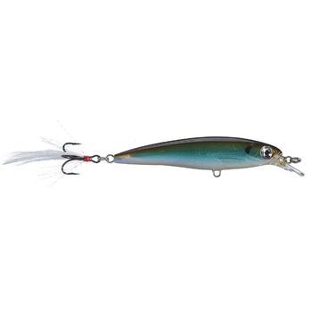 Rapala X-Rap. Moss Back Shiner 10