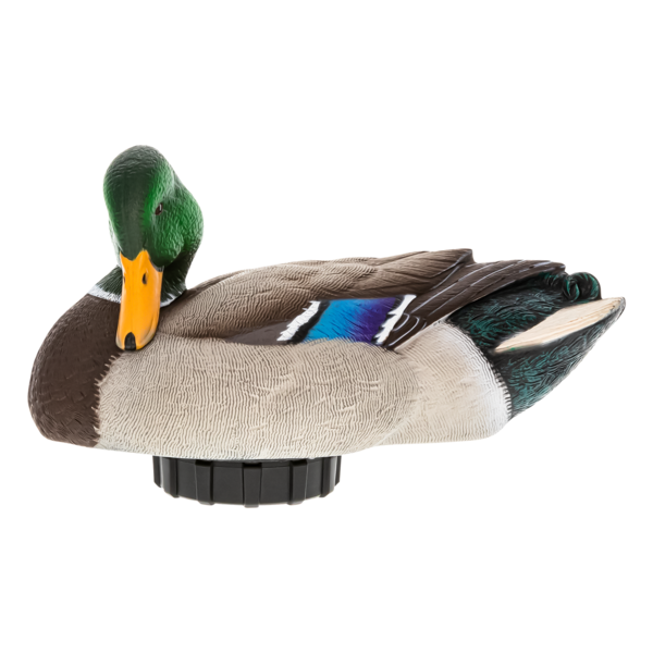 Power Shaker Mallard Drake Preener