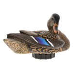 Power Shaker Mallard Hen Preener