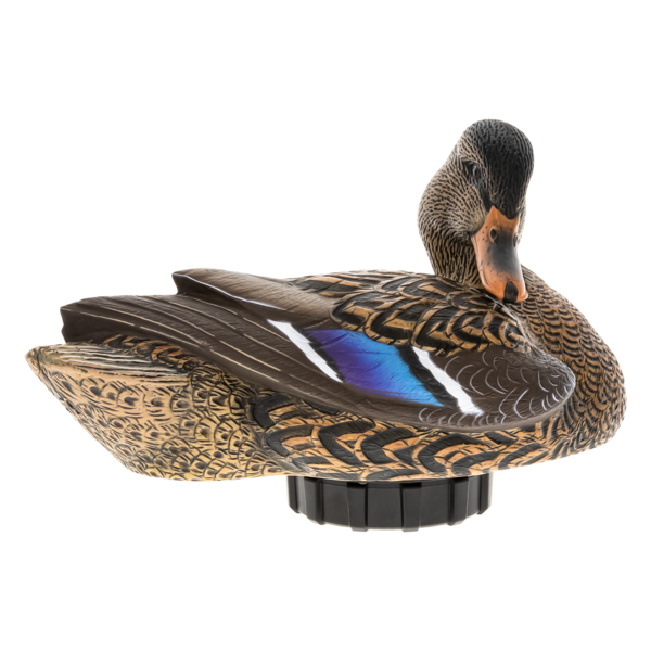 Power Shaker Mallard Hen Preener