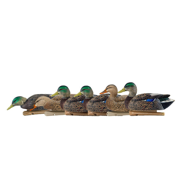 TopFlight Early Season Mallards