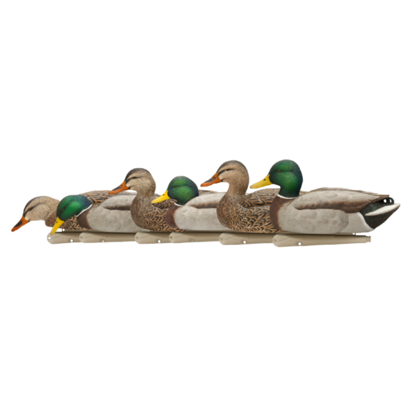 Avian-X Topflight Fusion Mallards, 6 Pack