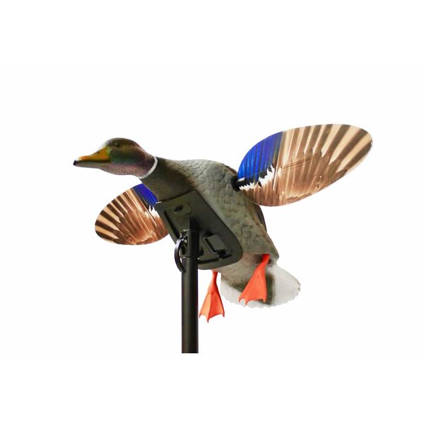 Mojo Outdoors Mallard Elite Series - Mini Mallard Drake