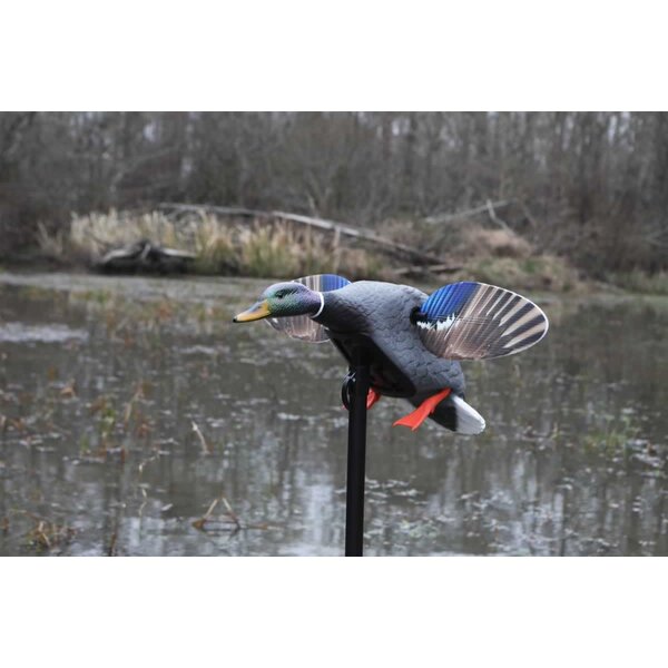 Mojo Outdoors Mallard Elite Series - Mini Mallard Drake