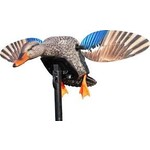 MOJO Outdoors Elite Series Mini Mallard Hen Electronic Decoy