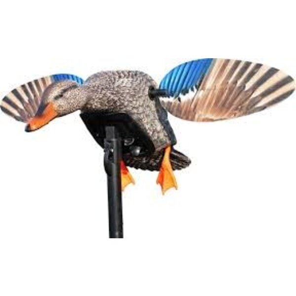 MOJO Outdoors Elite Series Mini Mallard Hen Electronic Decoy