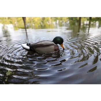 Mojo Outdoors Mojo Outdoors Rippler 2 Decoy