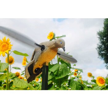 Mojo Outdoors Mojo Outdoors Voodoo Dove Decoy