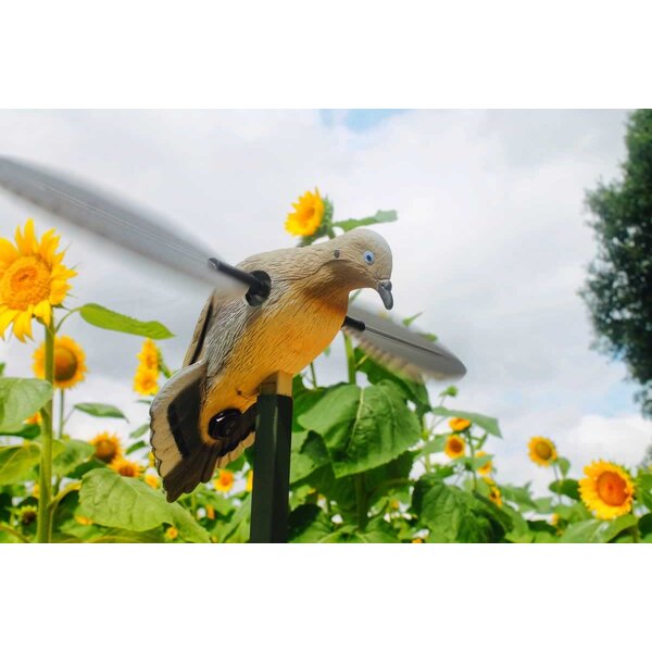 Mojo Outdoors Mojo Outdoors Voodoo Dove Decoy