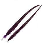 Wapsi 1 Pair Ringneck Tail Feathers