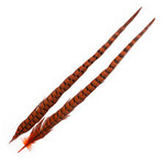 Wapsi 1 Pair Ringneck Tail Feathers