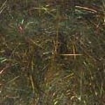 Wapsi SLF Dave Whitlock Dubbing