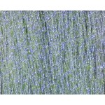 Wapsi Krystal Flash UV Herring Back